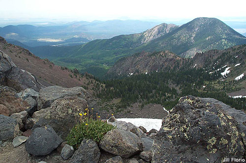 Inner Basin , San Francisco Peaks, AZ by Jill Florio