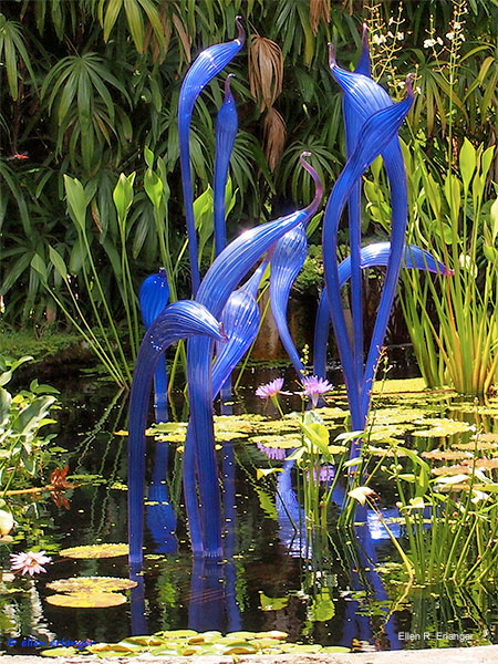 Cobalt Herons by Dale Chihuly, 2005 by Ellen R. Erlanger